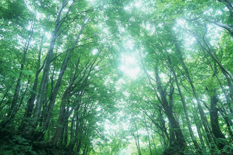 考えるより、行動する