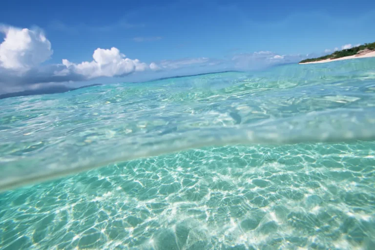 どんな人に出会うかで人生は決まる